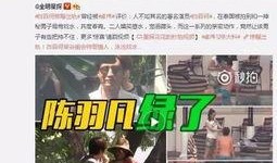 陈亚楠爆料录音内容视频,揭秘爆料录音内容真相